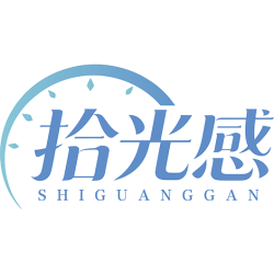 拾光感商标图样
