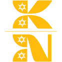 KN商标图样