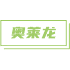 奥莱龙商标图样