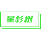 星杉树商标图样