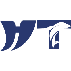 HT商标图样