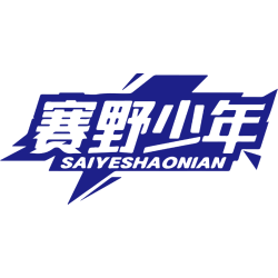 赛野少年商标图样